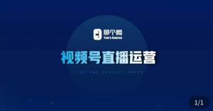 那个腾·视频号直播运营，​视频号直播推流逻辑/流量渠道解析/直播起号攻略/直播实操技巧-网赚36计