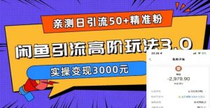 亲测日引50+精准粉，闲鱼引流高阶玩法3.0，实操变现3000元【揭秘】-网赚36计