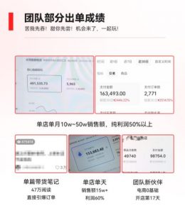 2023小红书电商火爆全网,新晋红利,风口项目,单店收益在3000-30000!-网赚36计