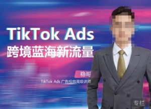 稳哥·如何投出高ROI的TikTok广告，开拓独立站卖家流量新蓝海-网赚36计