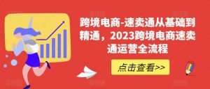 跨境电商-速卖通从基础到精通,2023跨境电商速卖通运营全流程-网赚36计