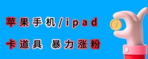 最新利用苹果手机/ipad的ios系统，卡道具搬短视频，百分百过原创-网赚36计