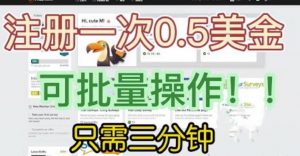 国外项目注册一次0.5美金，只需三分钟无脑操作，可批量同时放大操作，小白工作室福利【揭秘】-网赚36计