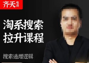齐天电商·淘系搜索提升课程，​搜索递增标准化，动销标准化流程-网赚36计