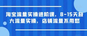 淘宝流量实操进阶课，8-15天放大流量实操，店铺流量不用愁-网赚36计