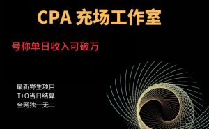 cpa充场工作室，号称单日收入10000+（揭秘）-网赚36计