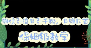 微信互推圈半自动引流方案,矩阵操作日引千人思路【详细视频教程】-网赚36计