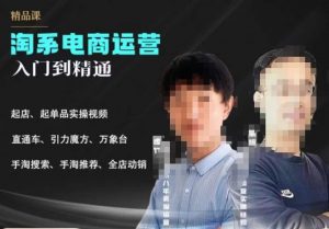 2023手淘搜索实操课+体系化课程，​起店起单品实操视频课程-网赚36计
