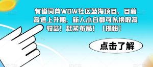 有道词典WOW社区蓝海项目，目前高速上升期，新人小白都可以换取高收益！赶紧布局！【揭秘】-网赚36计