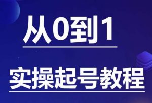 石野·小白起号实操教程,掌握各种起号的玩法技术,了解流量的核心-网赚36计