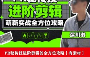 PR进阶剪辑培训班,让你快速成为剪辑大师12节视频课程+素材!-网赚36计