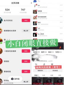 一天做完别一辈子的视频制作最近很火的《1000个野路子信息差》100%过原创【揭秘】-网赚36计