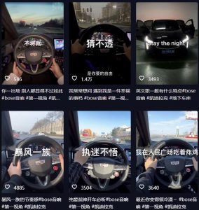 抖音开车视频项目，0基础操作，每天五分钟，月入1W+【揭秘】-网赚36计