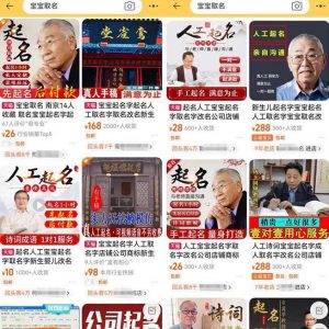 拆解小红书宝宝起名虚拟副业项目,一条龙实操玩法分享给你(教程+软件)-网赚36计