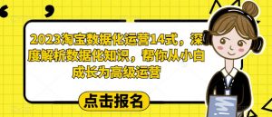 2023淘宝数据化运营14式，深度解析数据化知识，帮你从小白成长为高级运营-网赚36计