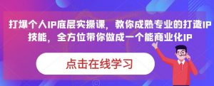 蟹老板·打爆个人IP底层实操课,教你成熟专业的打造IP技能,全方位带你做成一个能商业化IP-网赚36计