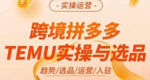 伍跃·跨境拼多多TEMU实操与选品，​趋势/选品/运营/入住（27节完整）-网赚36计