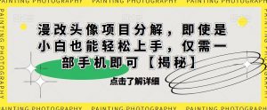 漫改头像项目分解，即使是小白也能轻松上手，仅需一部手机即可【揭秘】-网赚36计