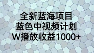 全新蓝海项目，蓝色中视频计划，1W播放量1000+【揭秘】-网赚36计