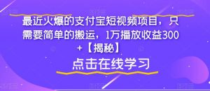 最近火爆的支付宝短视频项目，只需要简单的搬运，1万播放收益300+【揭秘】-网赚36计