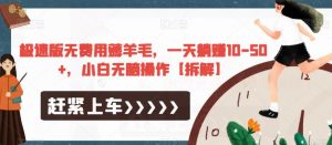 极速版无费用薅羊毛，一天躺赚10-50+，小白无脑操作【拆解】-网赚36计