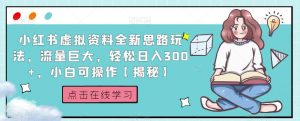 小红书虚拟资料全新思路玩法，流量巨大，轻松日入300+，小白可操作【揭秘】-网赚36计