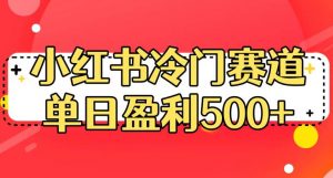 小红书冷门赛道,单日盈利500+【揭秘】-网赚36计