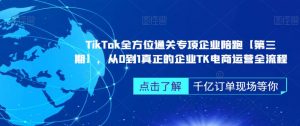 ‎TikTok全方位通关专项企业陪跑【第三期】，从0到1真正的企业TK电商运营全流程-网赚36计