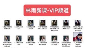 林雨新课VIP频道,玩赚私域/朋友圈/社群-网赚36计