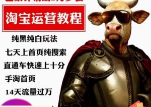 猫老师·淘系算法逆向解密，​纯黑纯白玩法，七天上首页纯搜索，手淘首页14天流量过万-网赚36计