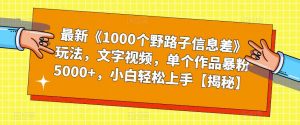 最新《1000个野路子信息差》玩法，文字视频，单个作品暴粉5000+，小白轻松上手【揭秘】-网赚36计