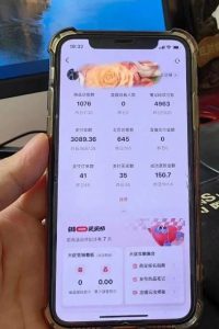 超级蓝海赛道保姆级教学，小红书无货源，无需实拍，如何做到日入1000+【揭秘】-网赚36计