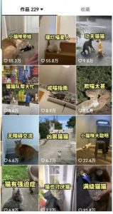 拆解：抖音盘点类中视频变现副业项目，视频版一条龙大解析分享给你-网赚36计