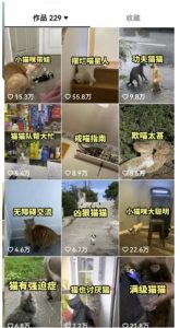 拆解抖音盘点类中视频变现副业项目,视频版一条龙大解析分享给你【视频课程】-网赚36计