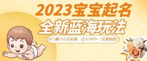 抖音美女图文+音乐推广5.0版本，单日单号500+，0本0粉可矩阵，五分钟一个视频【揭秘】-网赚36计