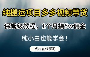纯搬运项目多多视频带货保姆级教程,1个月搞5w佣金,纯小白也能学会【揭秘】-网赚36计