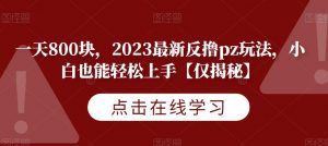 一天800块，2023最新反撸pz玩法，小白也能轻松上手【仅揭秘】-网赚36计