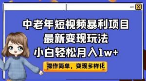 中老年短视频暴利项目最新变现玩法,小白轻松月入1w+【揭秘】-网赚36计