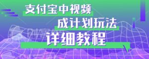 避坑玩法:支付宝中视频分成计划玩法实操详解【揭秘】-网赚36计
