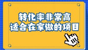 小红书虚拟电商项目:从小白到精英(视频课程+交付手册)-网赚36计