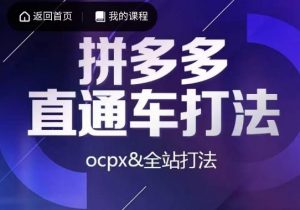 互力·拼多多直通车打法，ocpx&全站打法-网赚36计