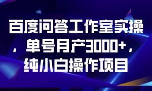 百度问答工作室实操，单号月产3000+，纯小白操作项目【揭秘】-网赚36计