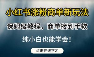 小红书涨粉商单新玩法，保姆级教程，商单接到手软，纯小白也能学会【揭秘】-网赚36计