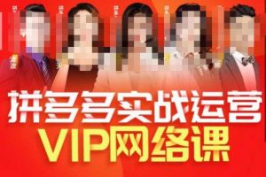 推易拼多多VIP全套直播课程，拼多多店铺实操玩法+实战玩法选款内功+直通车高阶等-网赚36计