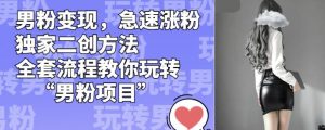 男粉变现,急速涨粉独家二创方法,全套流程教你玩转“男粉项目”【揭秘】-网赚36计