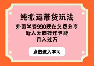 纯搬运带货玩法，外面学费990现在免费分享，新人无脑操作也能月入过万【揭秘】-网赚36计