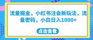 流量掘金,小红书注会新玩法,流量密码,小白日入1000+【揭秘】-网赚36计