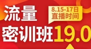 秋秋线上流量密训班19.0,打通流量关卡,线上也能实战流量破局-网赚36计