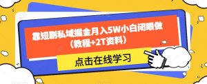 靠短剧私域掘金月入5W小白闭眼做（教程+2T资料）-网赚36计
