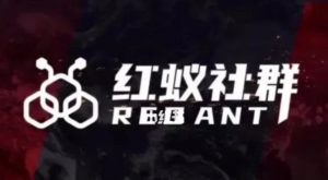 社群运营:红蚁社群【48节落地系统课程+2000人高端社群】-网赚36计